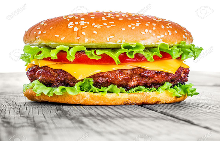 hamburger5